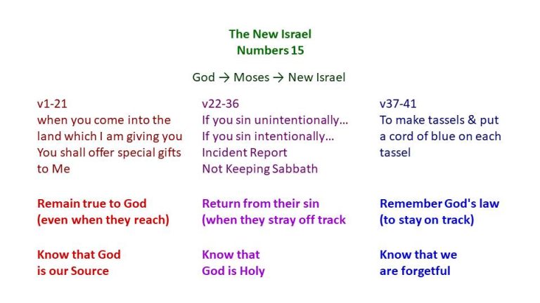Numbers Chapter 15 Explained Num 15 (EricTeo) – Bible Study Resources